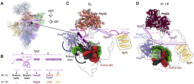 Figure 7