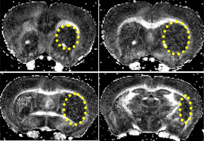 Fig. (2)