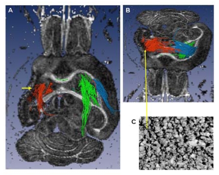 Fig. (6)