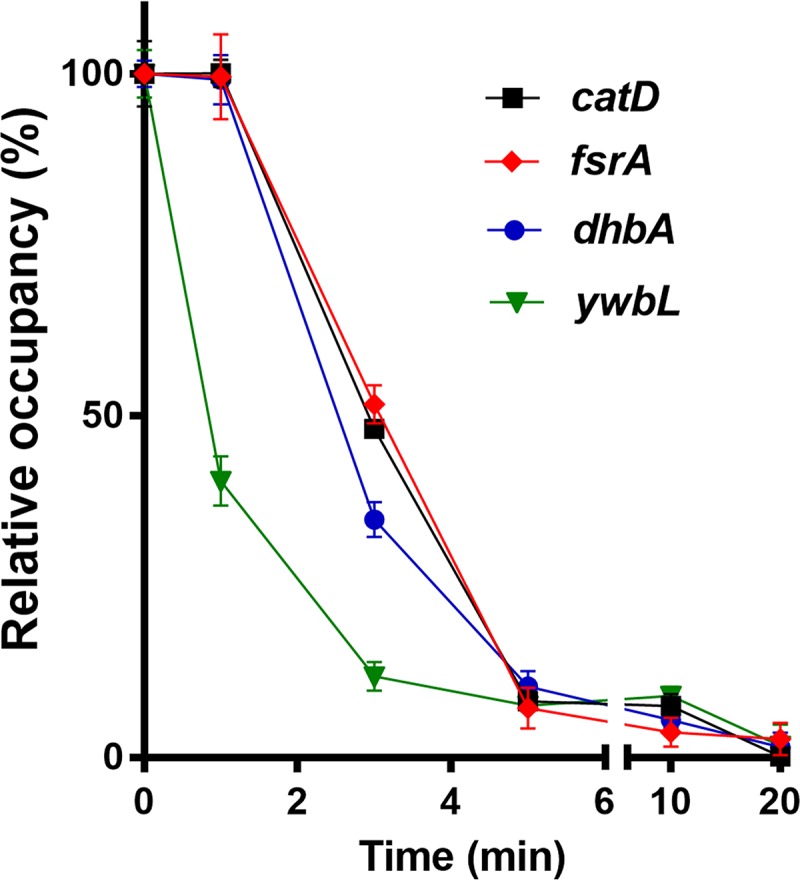 FIG 9