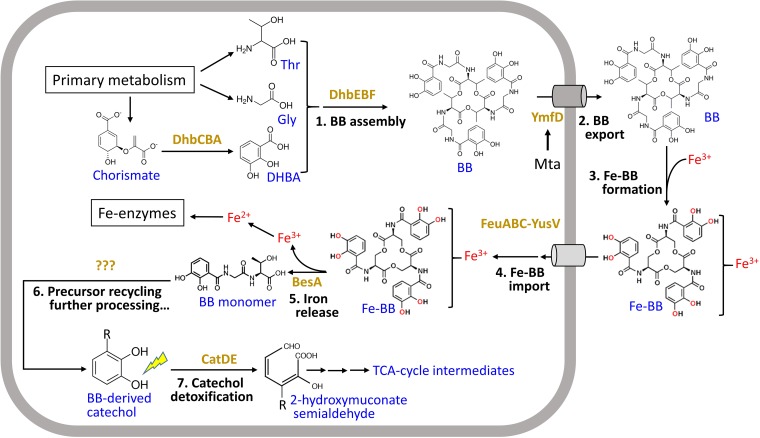 FIG 10