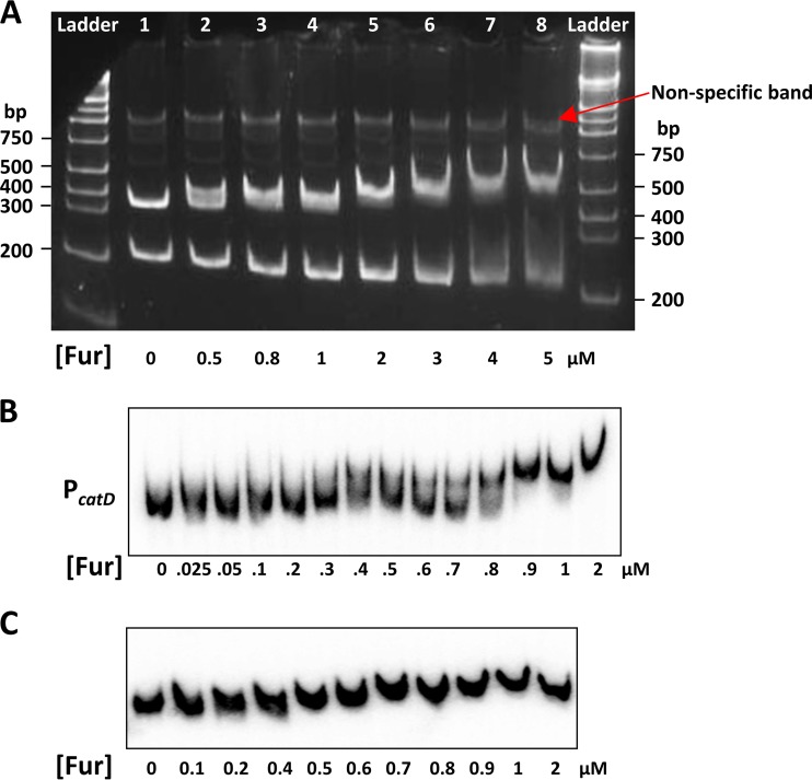 FIG 4