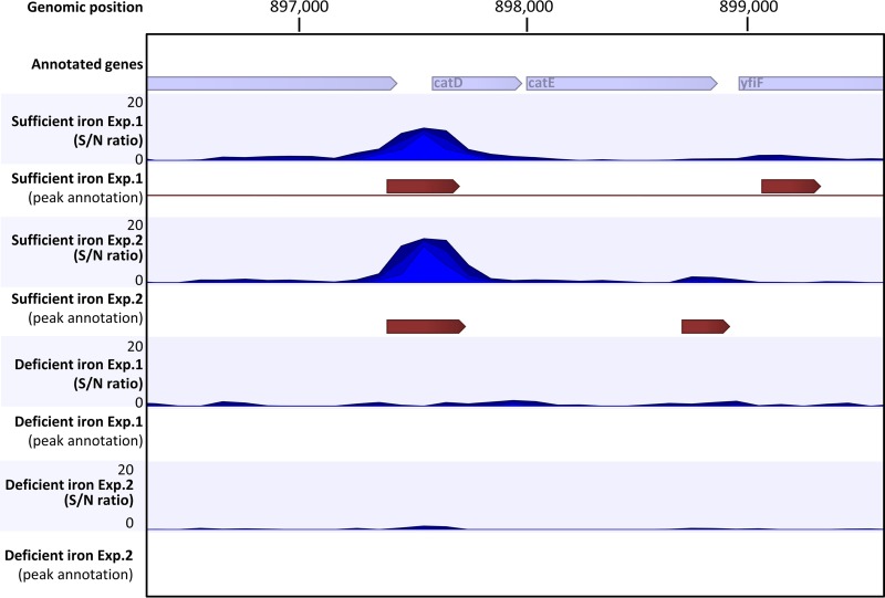 FIG 2