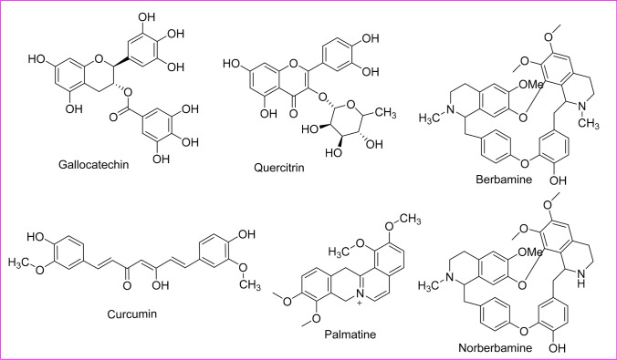 Fig. 5