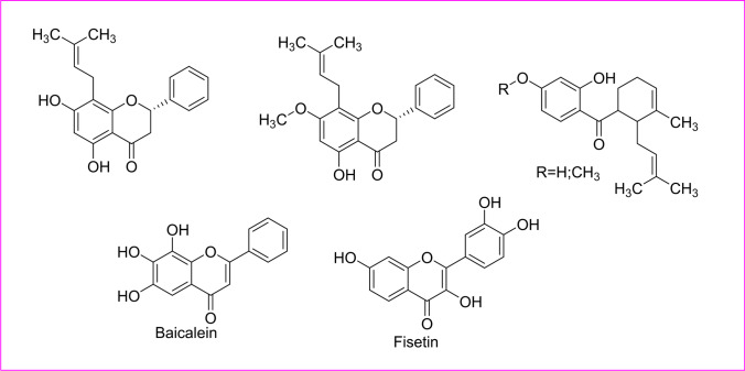 Fig. 8