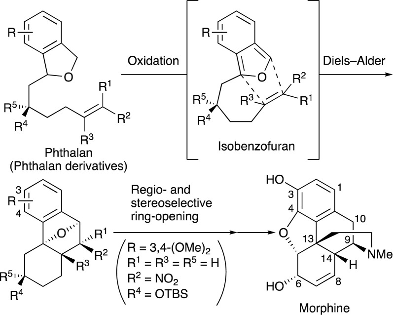 Scheme 1