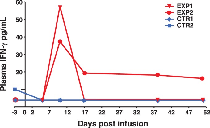 FIG 6