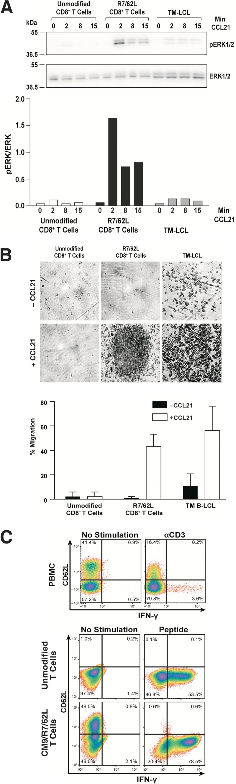 FIG 2