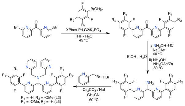 Scheme 2