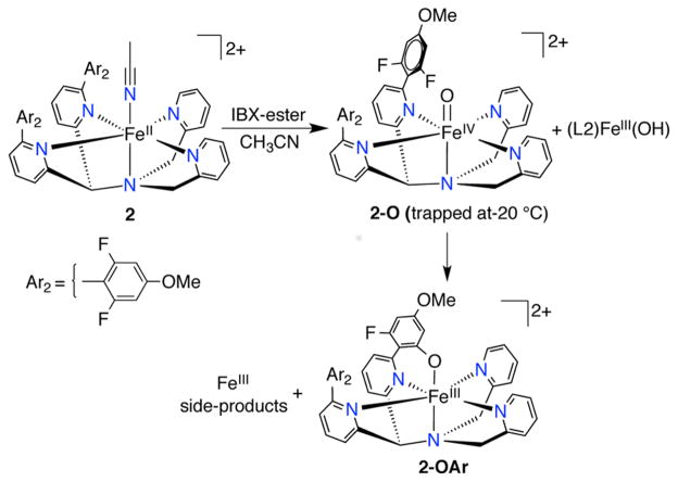 Scheme 3