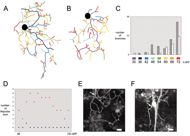 
Figure 13.
