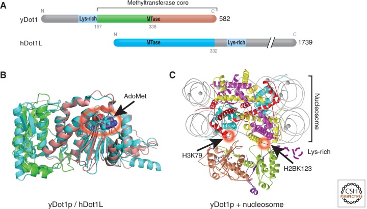 Figure 2.