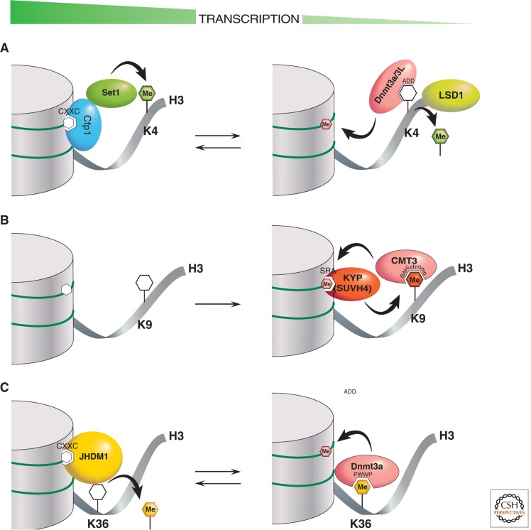 Figure 10.