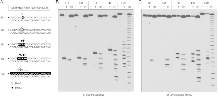 FIG 6