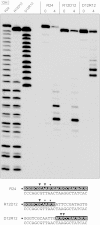 FIG 5
