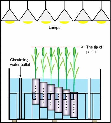 Fig. 1