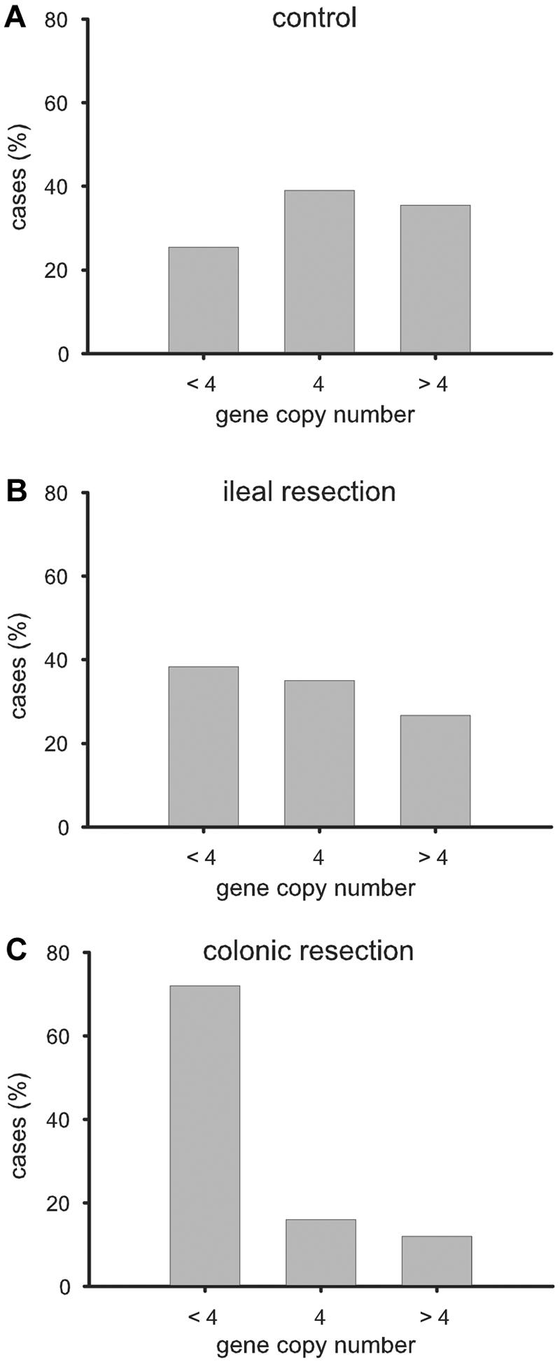 Figure  2. 