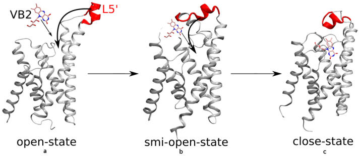 Figure 7