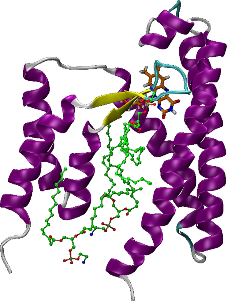 Figure 10