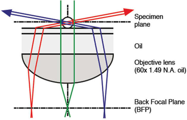 Figure 3—figure supplement 1.