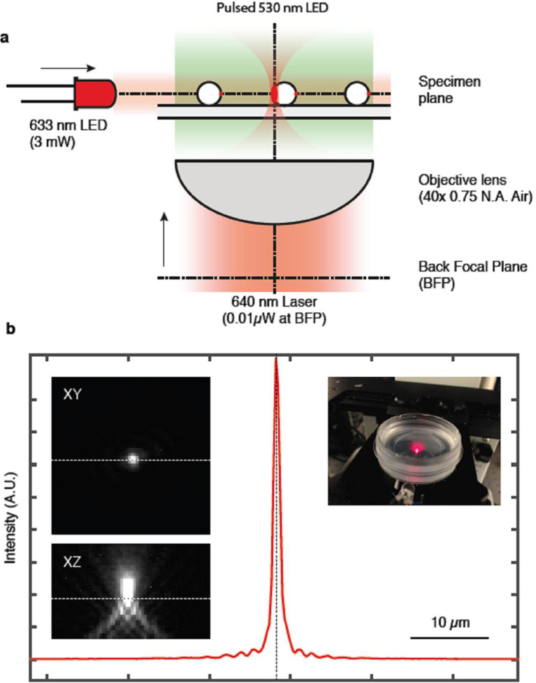 Figure 4—figure supplement 1.