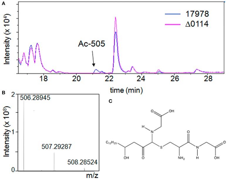 Figure 5