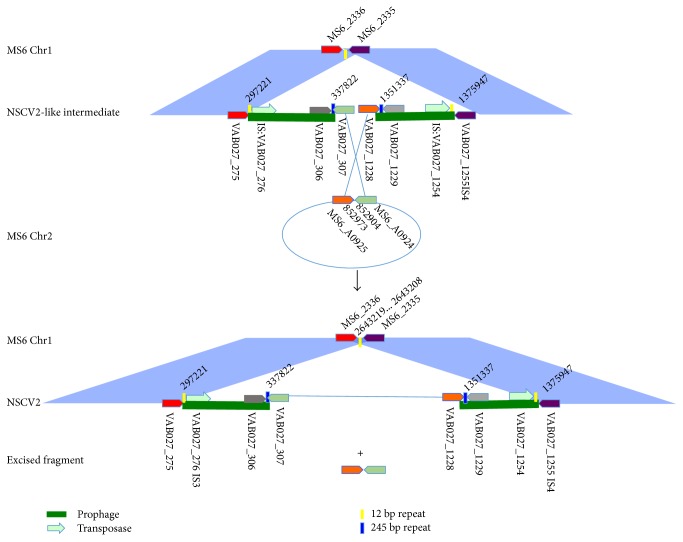 Figure 5