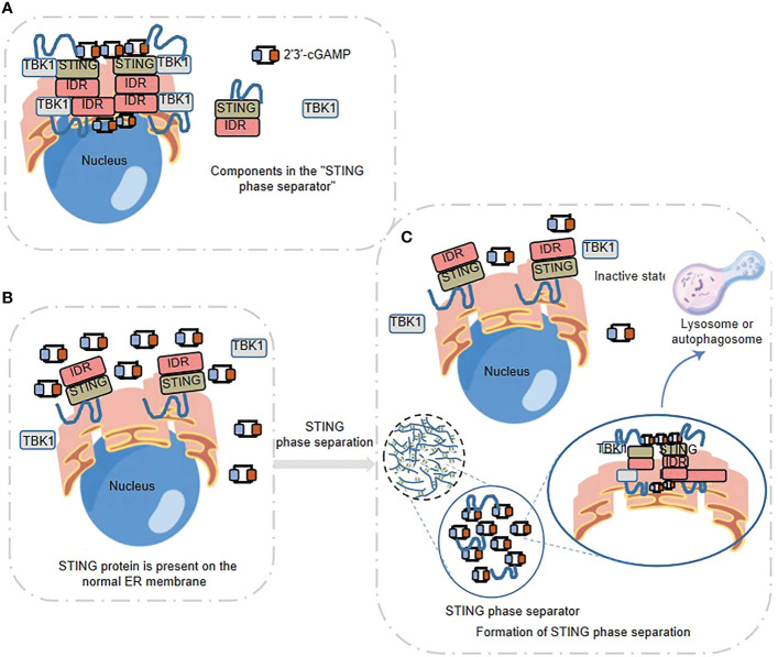 Figure 3