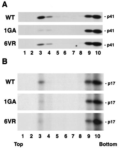 FIG. 6