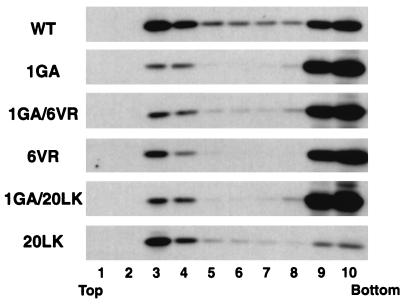 FIG. 8