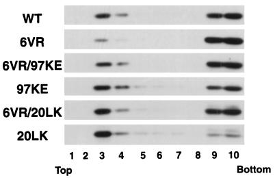 FIG. 7