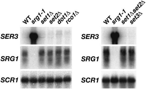 Figure 6.