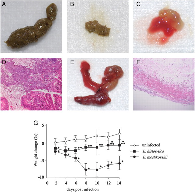 Figure 1.