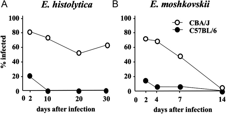 Figure 2.