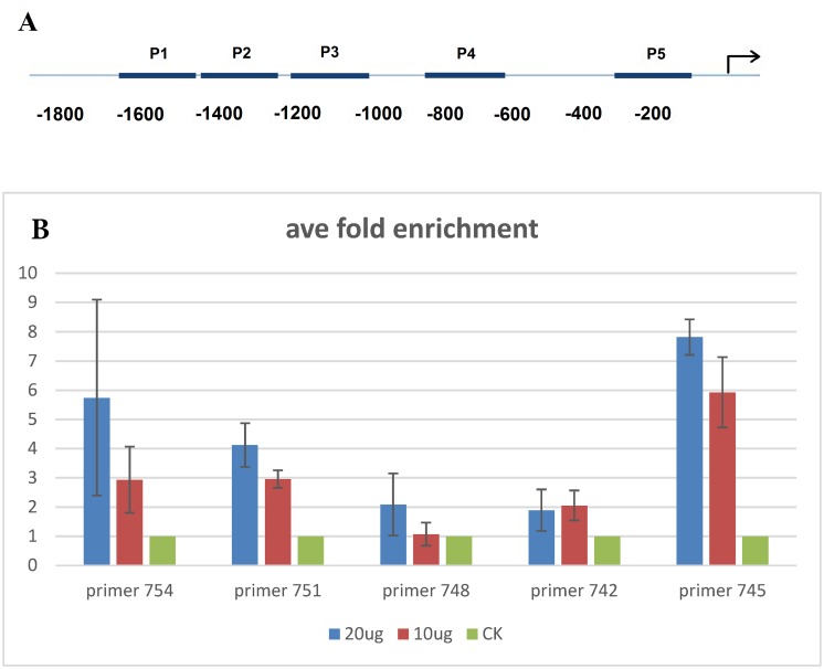 Fig 5