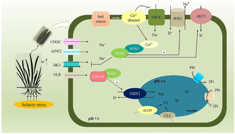 Figure 2