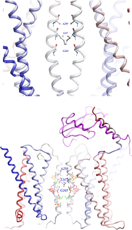 Fig. 9.