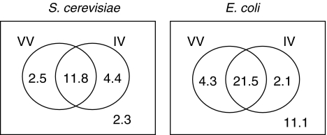 Fig. 5