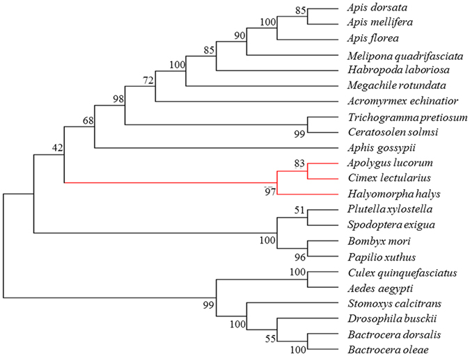 Figure 2