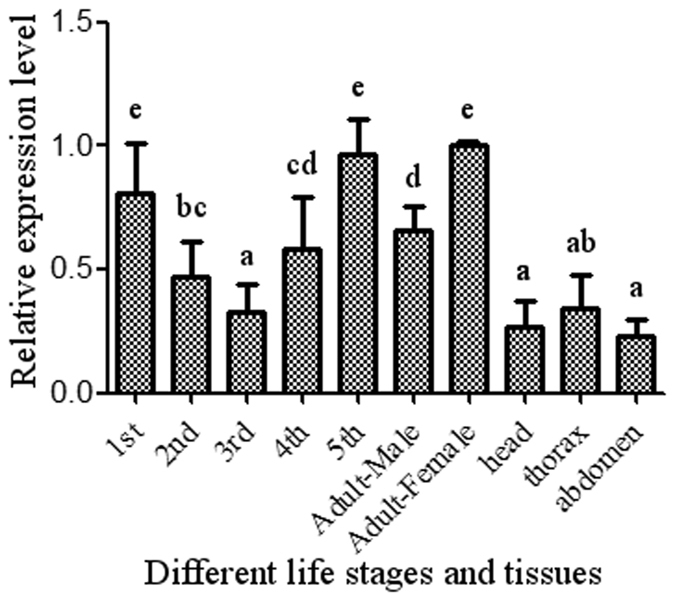 Figure 5