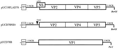 FIG. 1