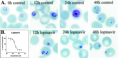 FIG. 1.