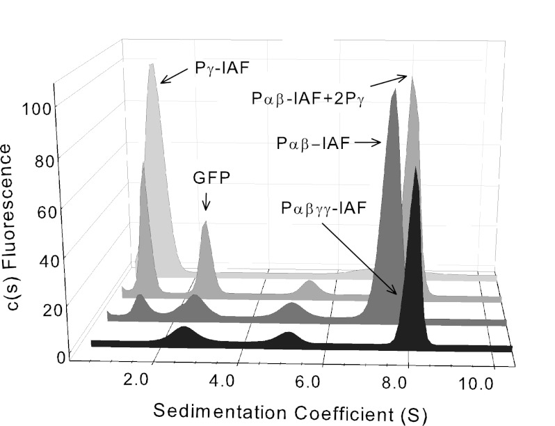 FIGURE 2.