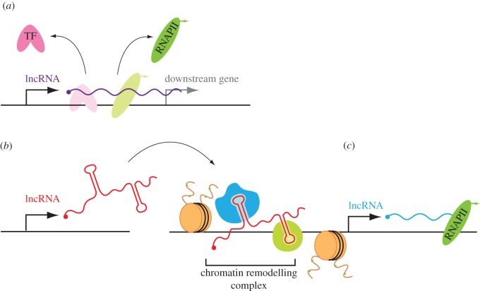 Figure 2.