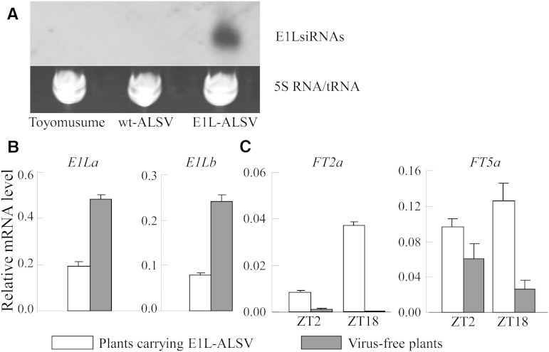 Figure 7.