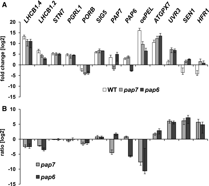 Figure 4.