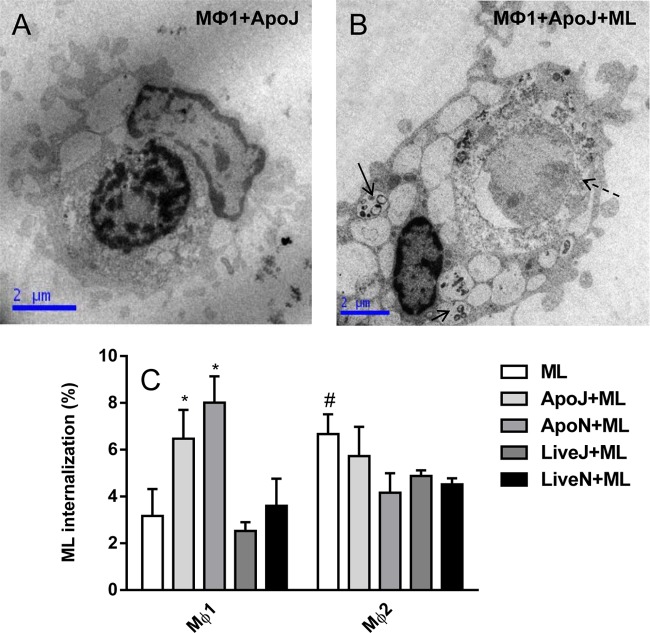 FIG 3