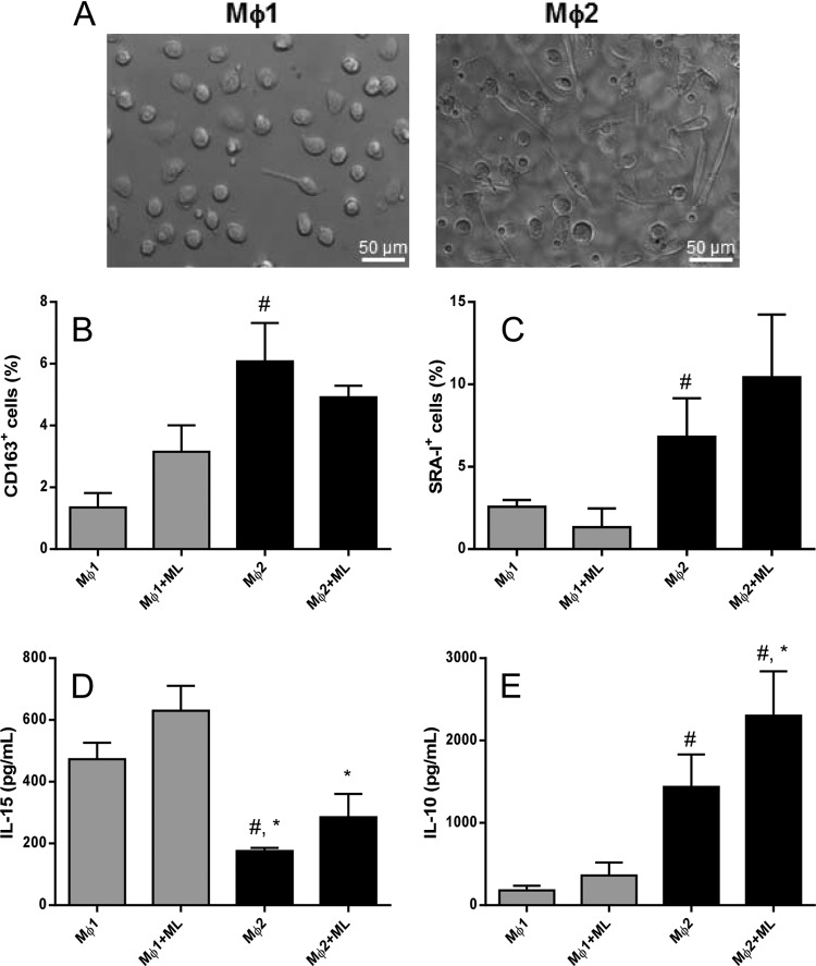 FIG 1