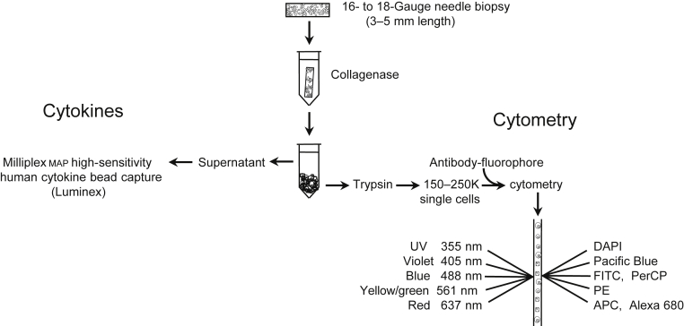 Figure 1