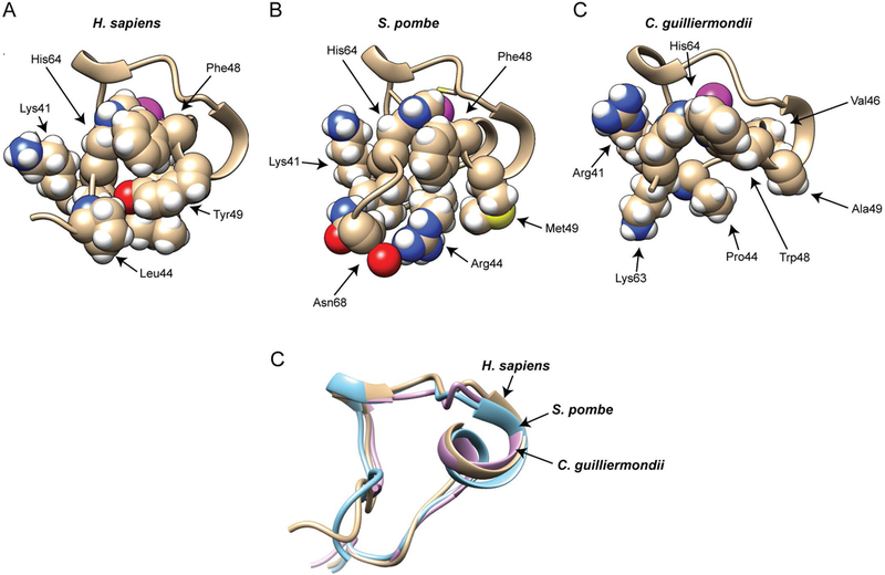 Fig. 6.